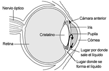 control-de-ojos-clinica-gran-canaria